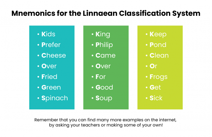 explain-the-classification-of-living-things-worksheet-edplace